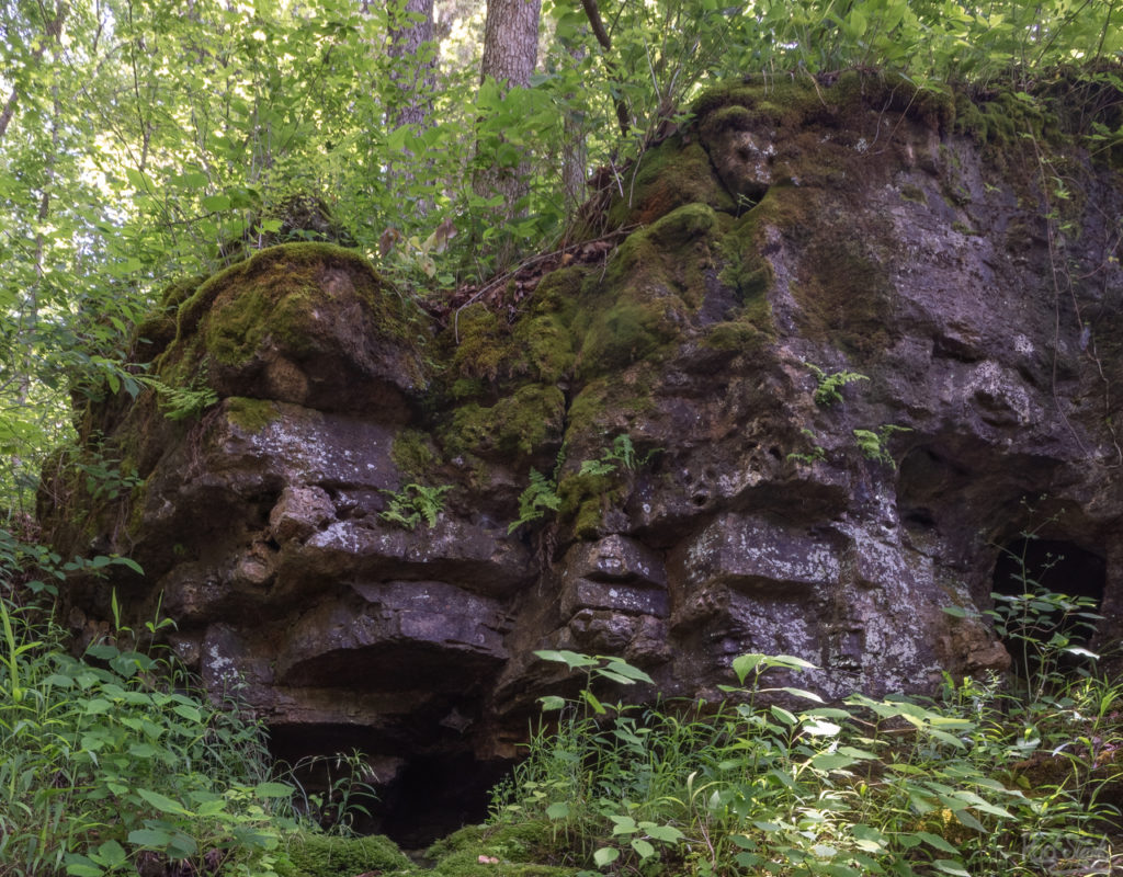 Faces carved by the weather in a rock wall