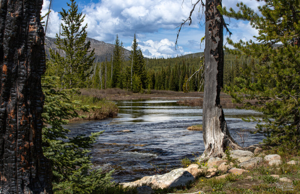 overlooking the Payette river with the slowly moving river framed by burnt trees