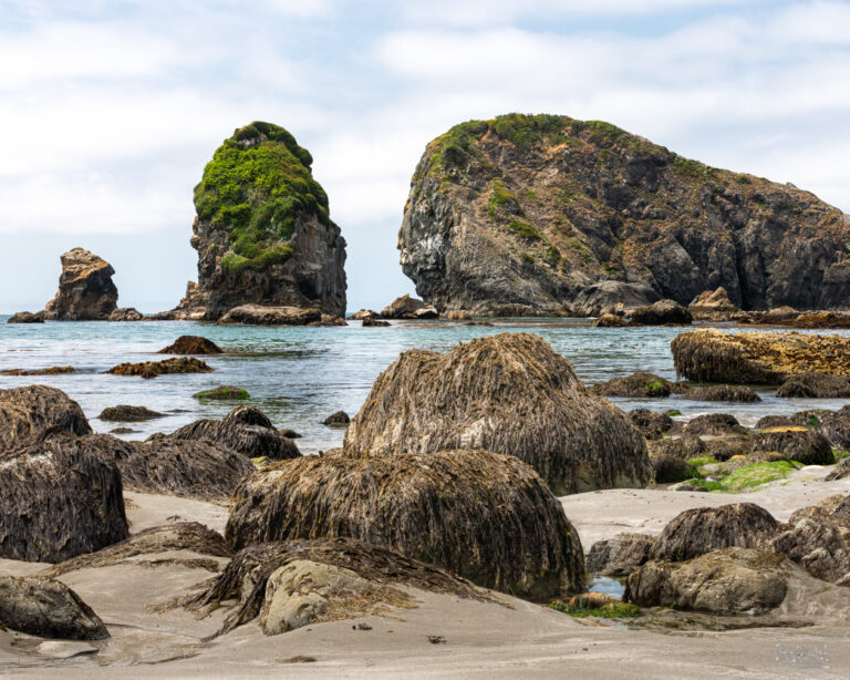 Lion Sea Stack-