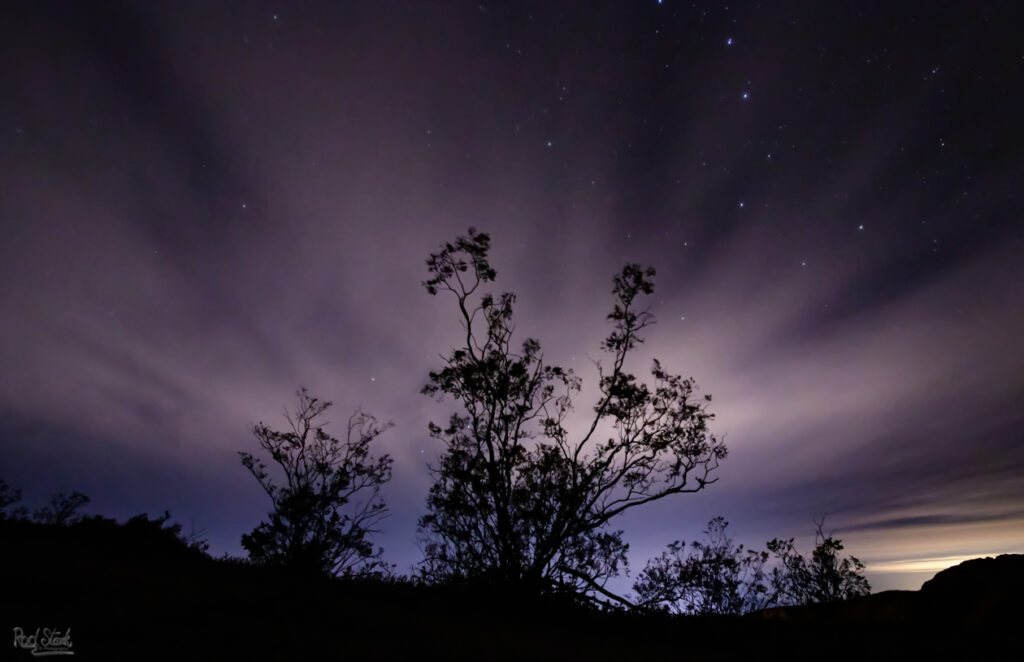 Big Dipper Light Beams Long-exposure night sky with silhouetted trees and radiant light trails, featuring stars and glowing clouds above a dark forest horizon.