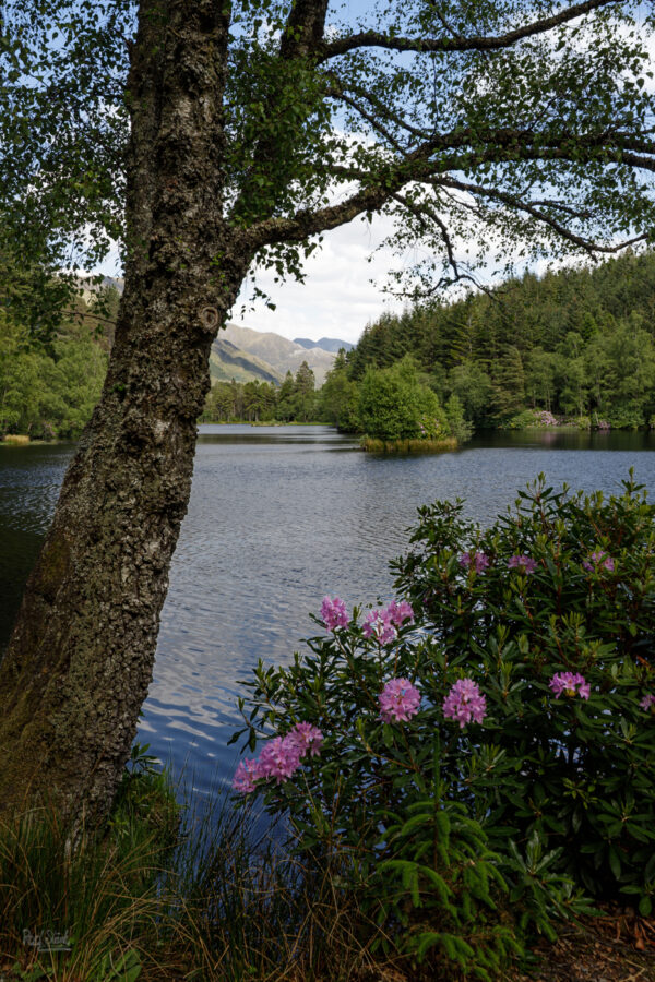 Glencoe Lochan
