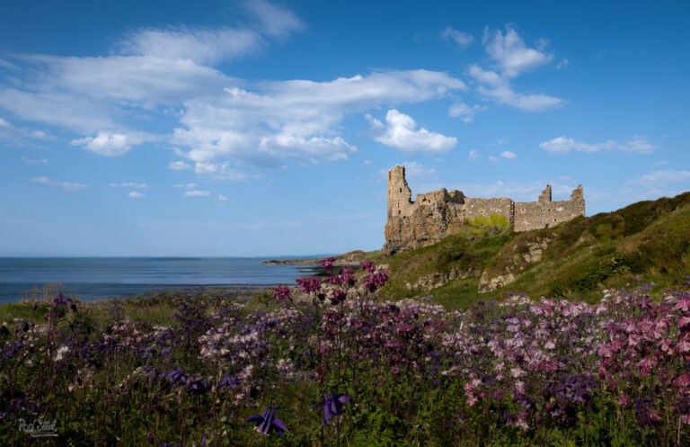 Denure Castle Flowers