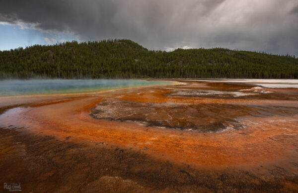 Prismatic Spring