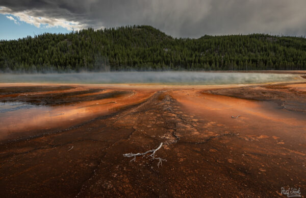 Prismatic Spring Stick