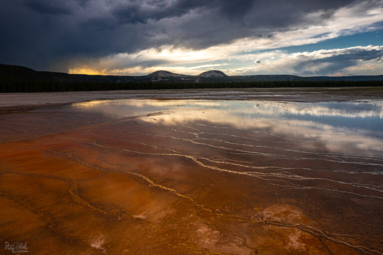 Prismatic Spring Wave Prismatic Spring Wave